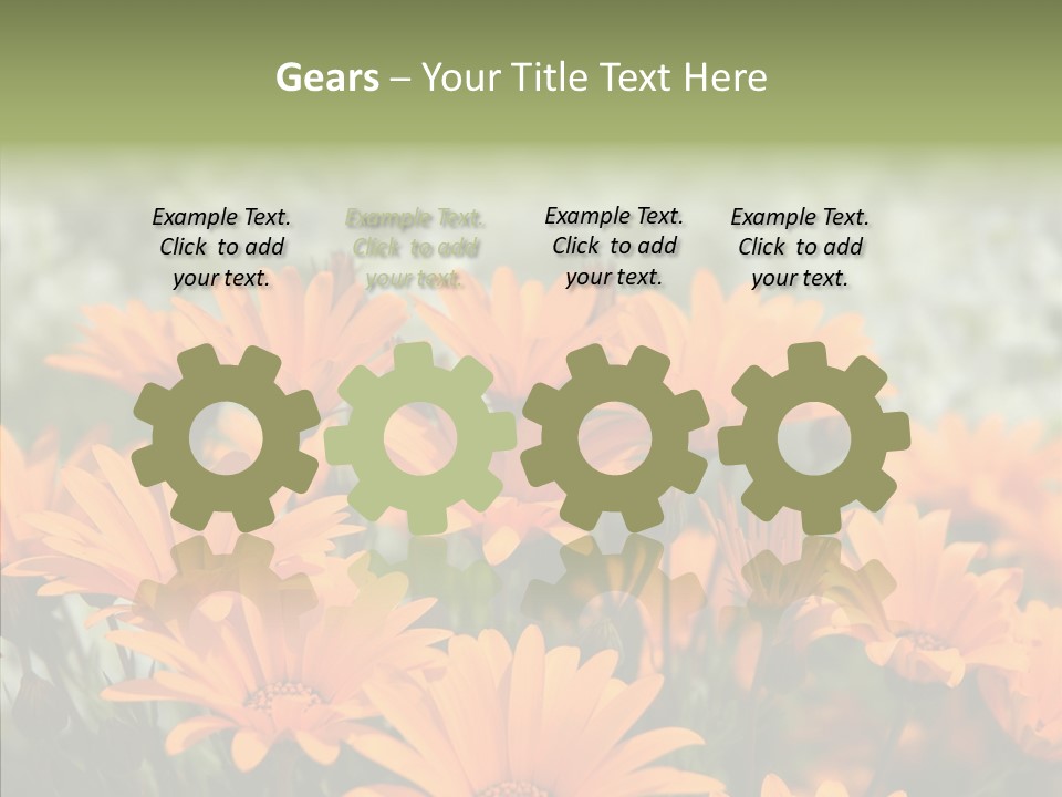 Flower Marigold Colorful PowerPoint Template