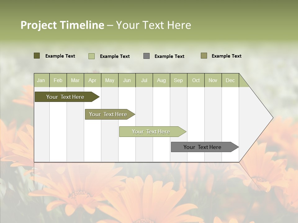 Flower Marigold Colorful PowerPoint Template