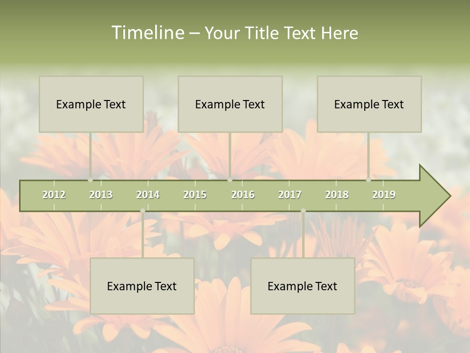 Flower Marigold Colorful PowerPoint Template