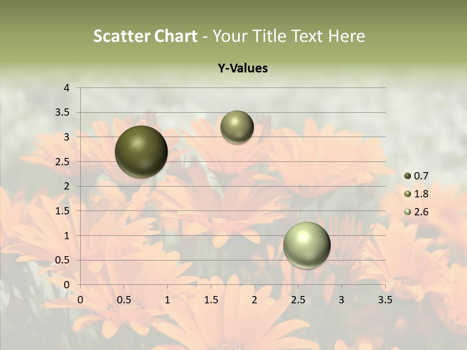 Flower Marigold Colorful PowerPoint Template