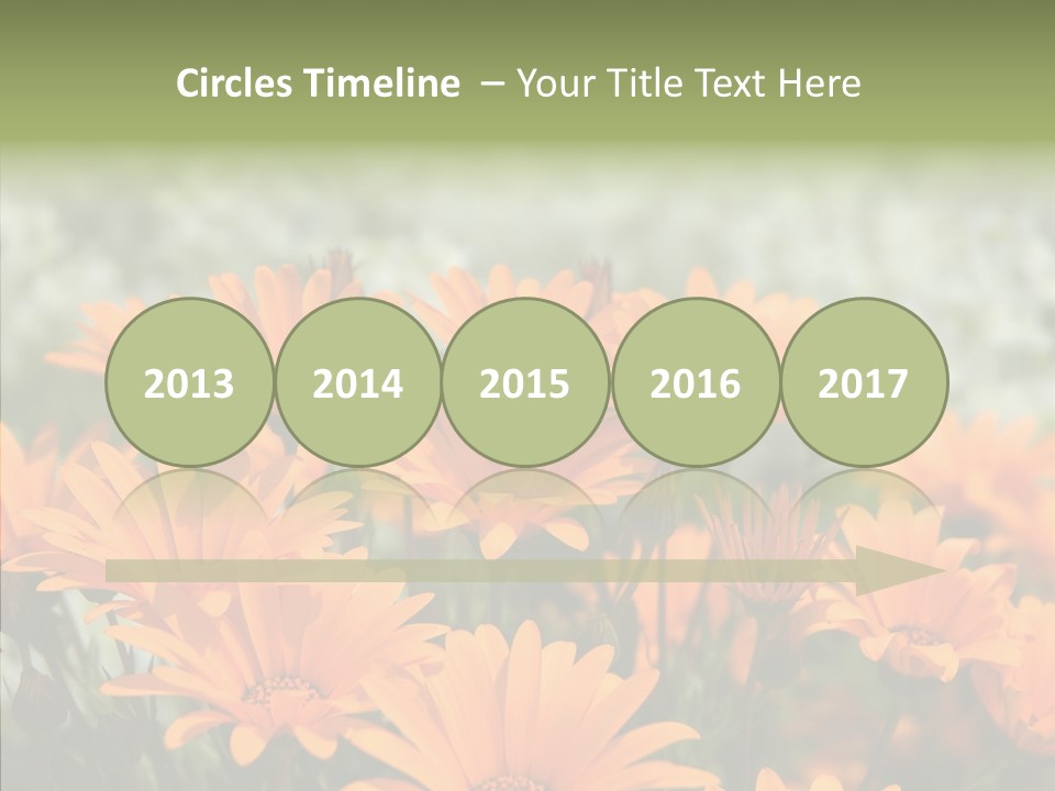 Flower Marigold Colorful PowerPoint Template