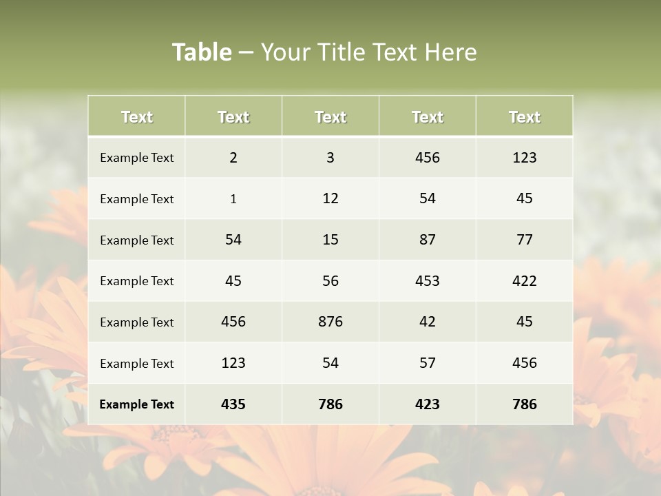 Flower Marigold Colorful PowerPoint Template