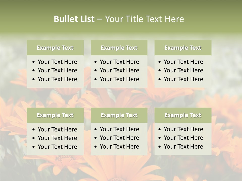 Flower Marigold Colorful PowerPoint Template