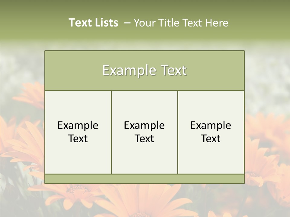 Flower Marigold Colorful PowerPoint Template
