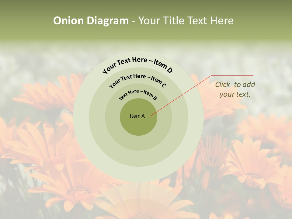 Flower Marigold Colorful PowerPoint Template