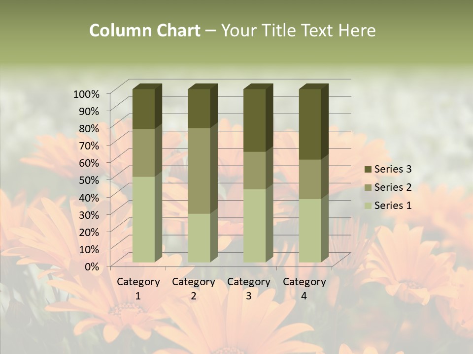 Flower Marigold Colorful PowerPoint Template