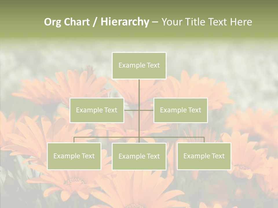 Flower Marigold Colorful PowerPoint Template