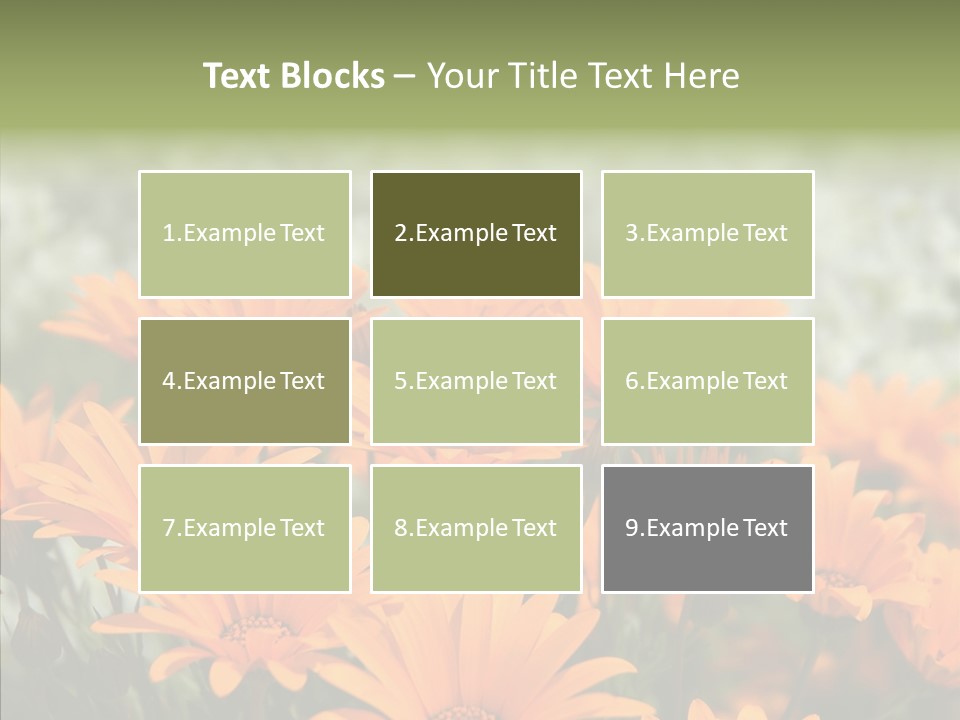 Flower Marigold Colorful PowerPoint Template