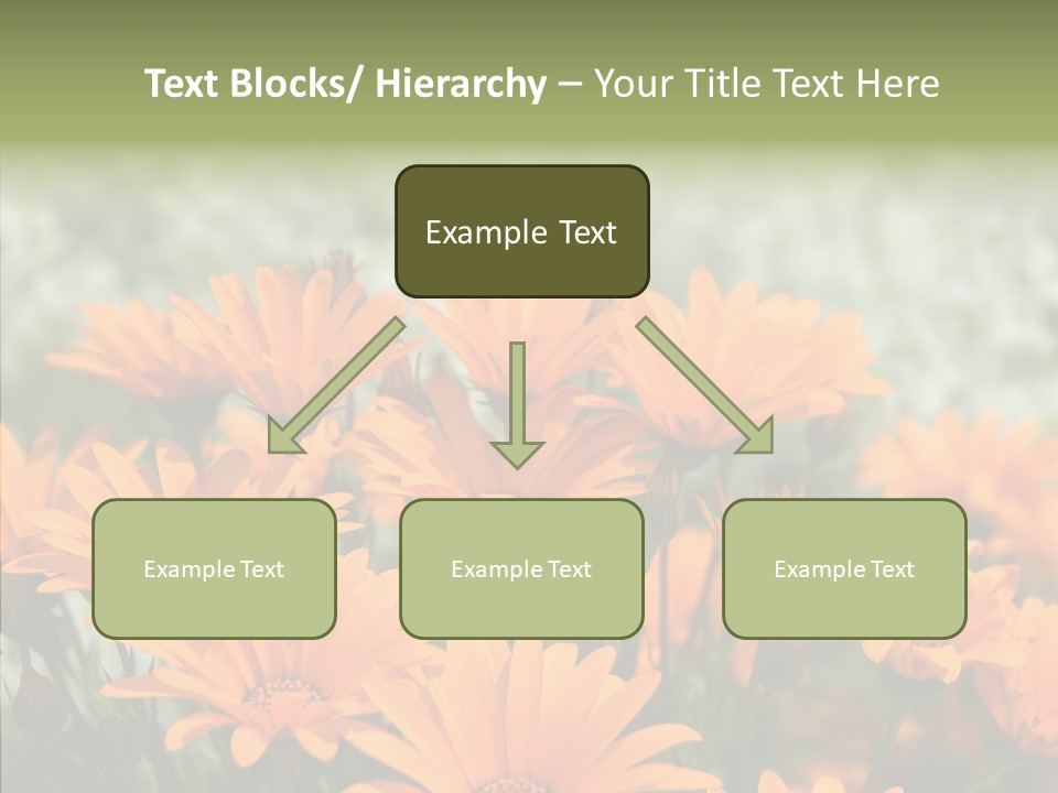 Flower Marigold Colorful PowerPoint Template