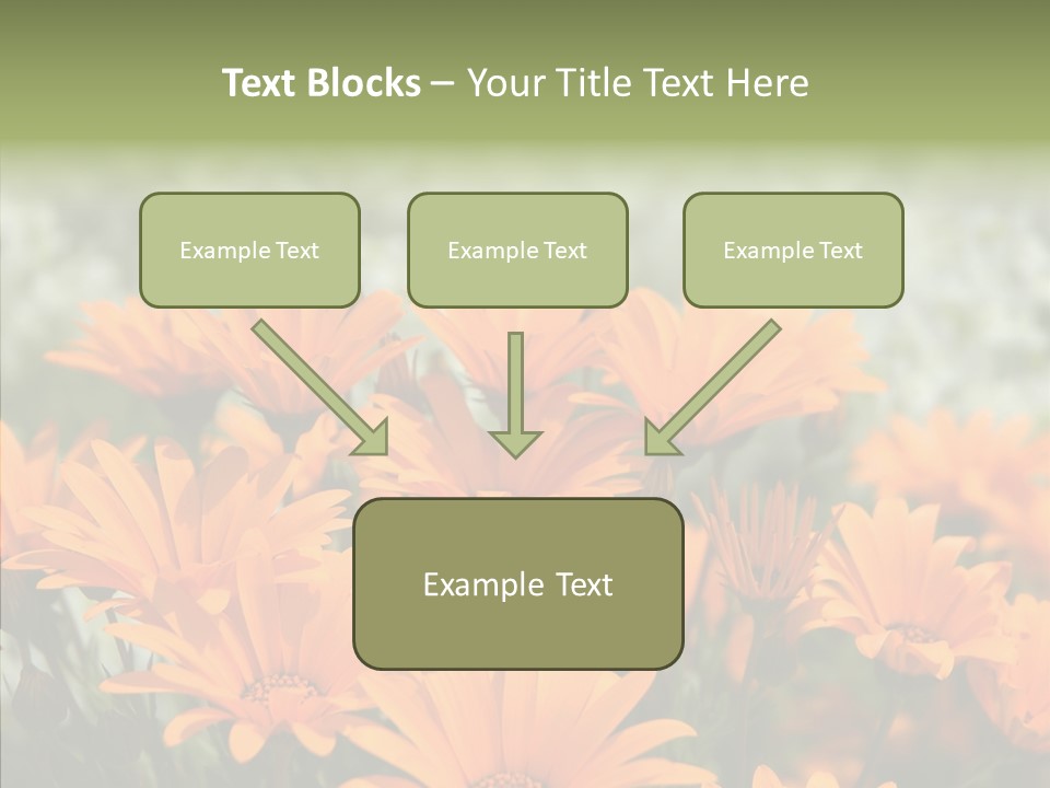 Flower Marigold Colorful PowerPoint Template