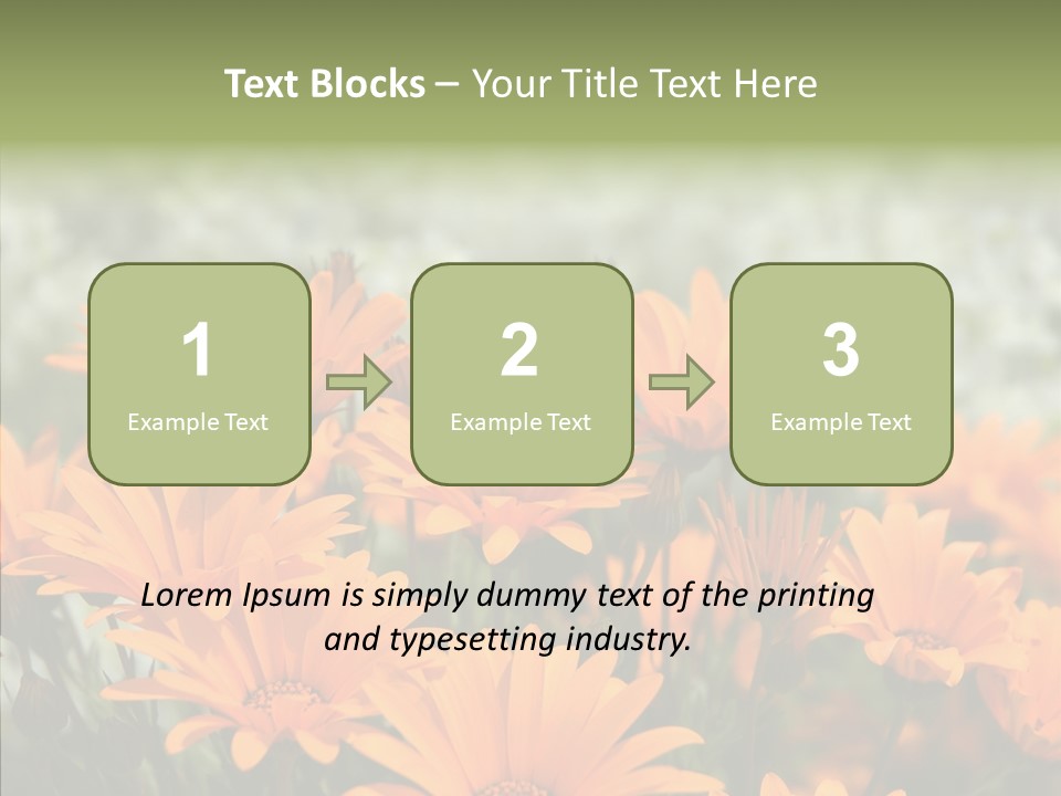 Flower Marigold Colorful PowerPoint Template