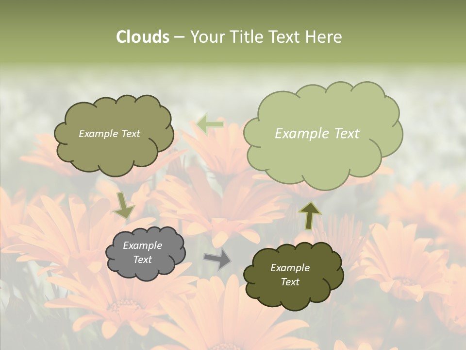 Flower Marigold Colorful PowerPoint Template