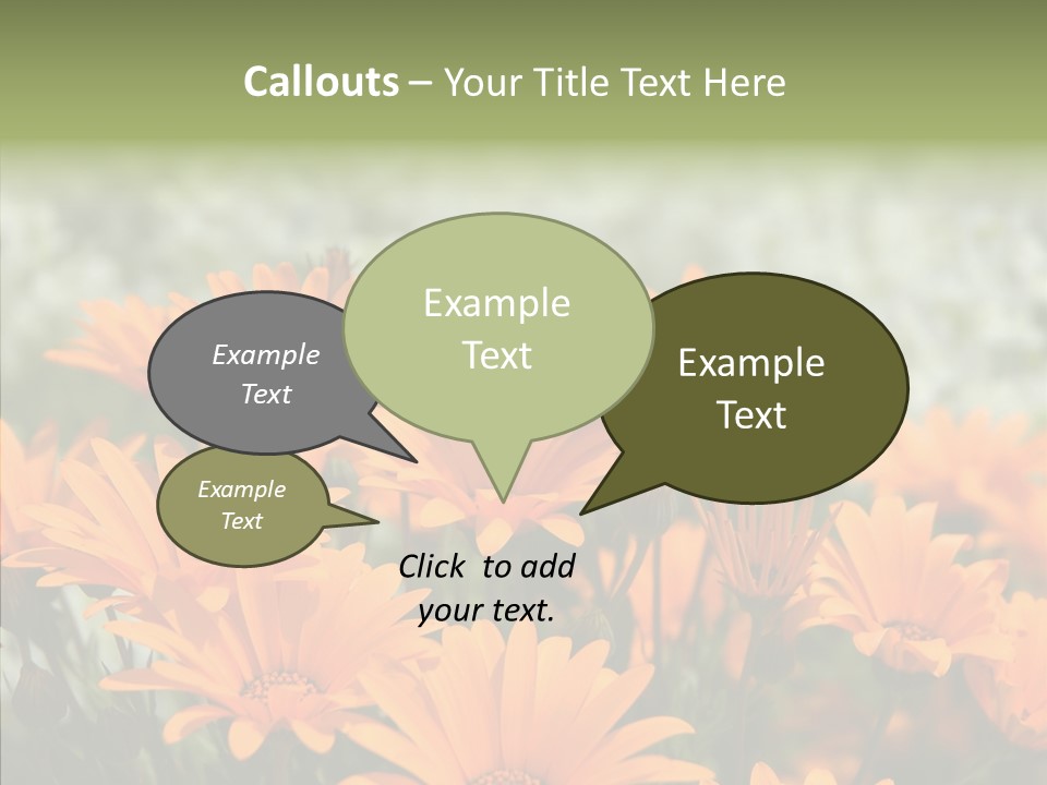 Flower Marigold Colorful PowerPoint Template