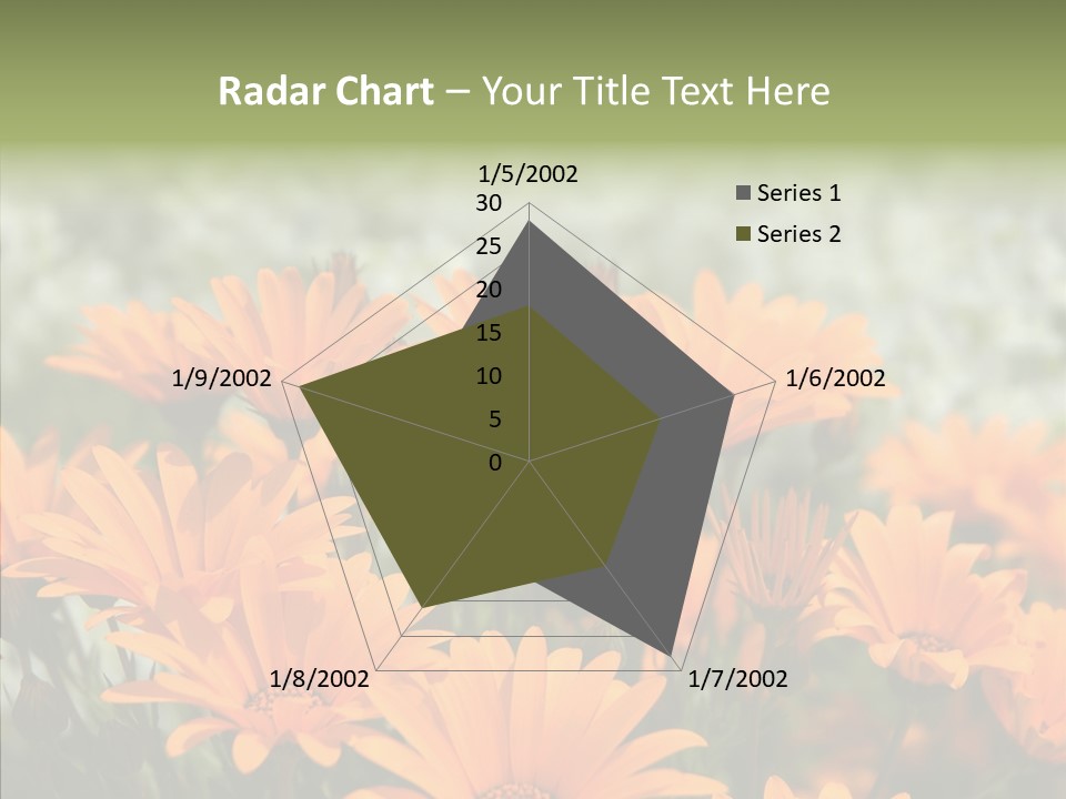 Flower Marigold Colorful PowerPoint Template