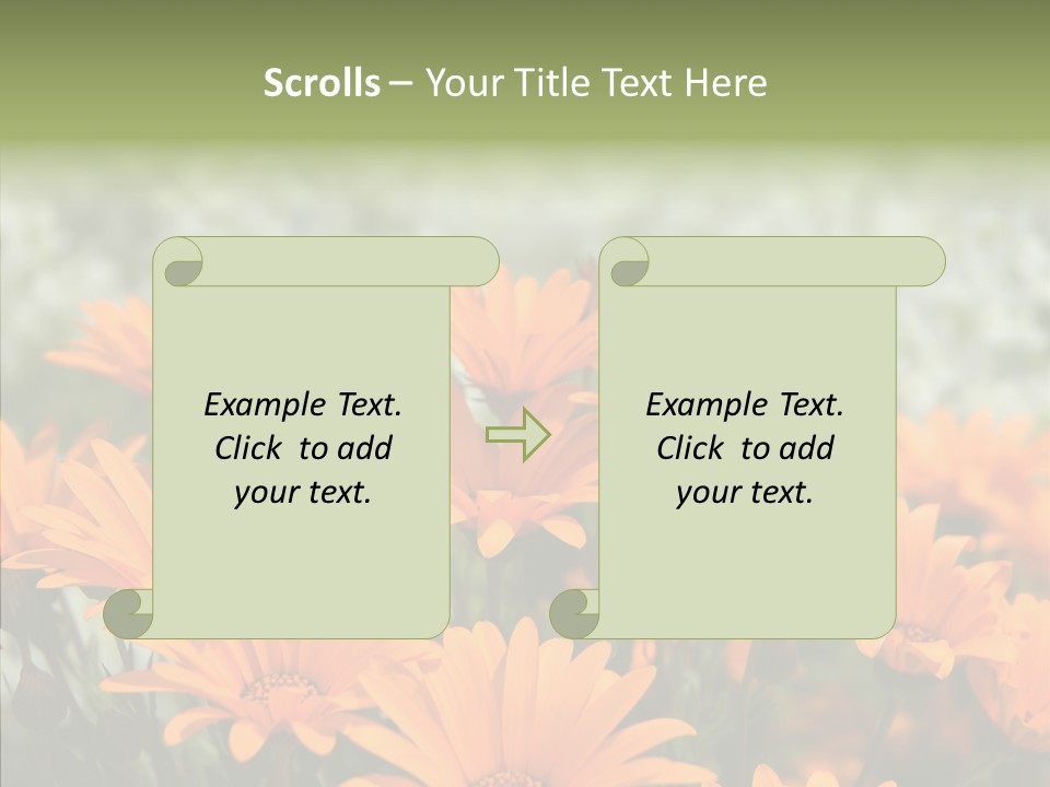 Flower Marigold Colorful PowerPoint Template