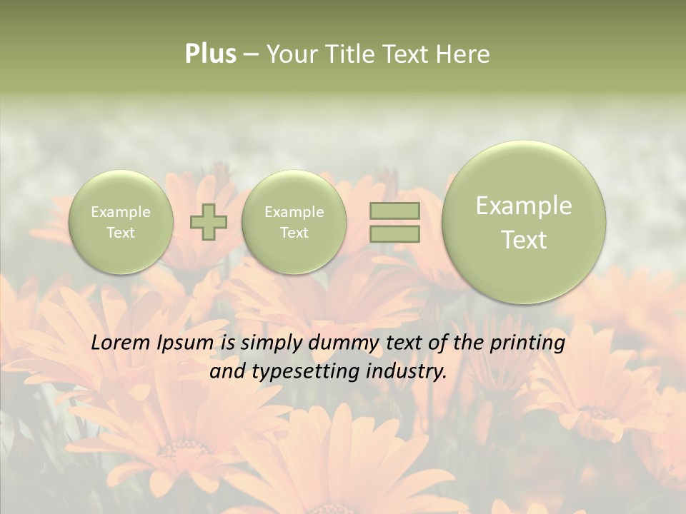 Flower Marigold Colorful PowerPoint Template