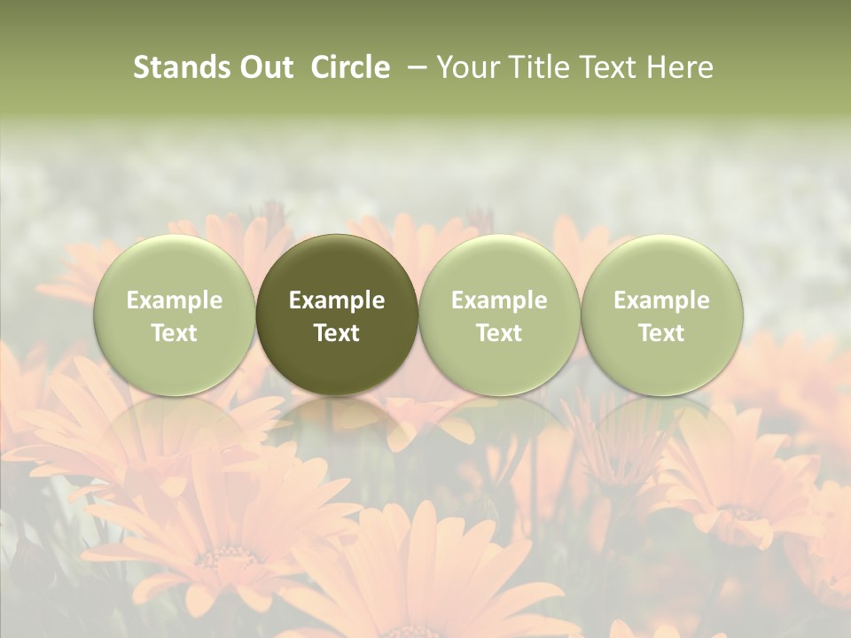 Flower Marigold Colorful PowerPoint Template