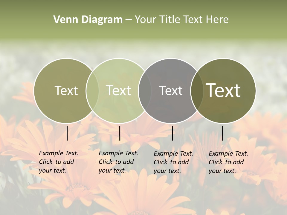 Flower Marigold Colorful PowerPoint Template