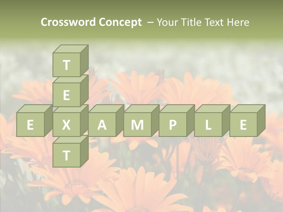 Flower Marigold Colorful PowerPoint Template