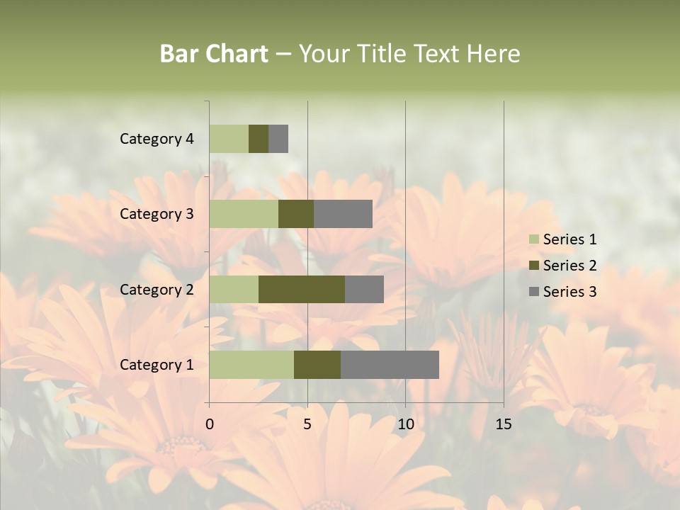 Flower Marigold Colorful PowerPoint Template