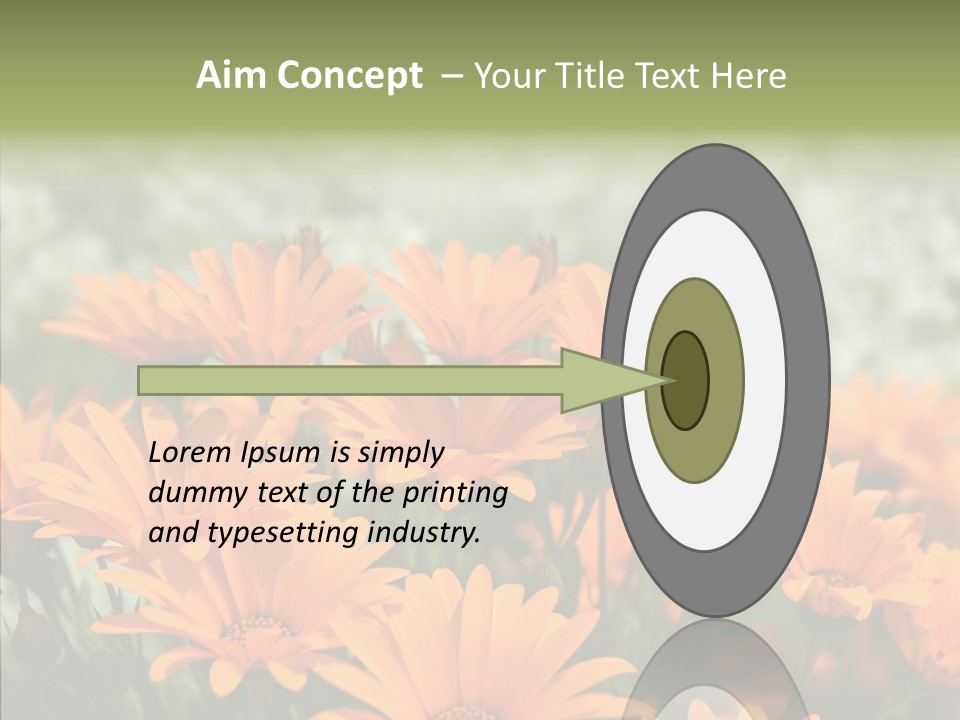 Flower Marigold Colorful PowerPoint Template