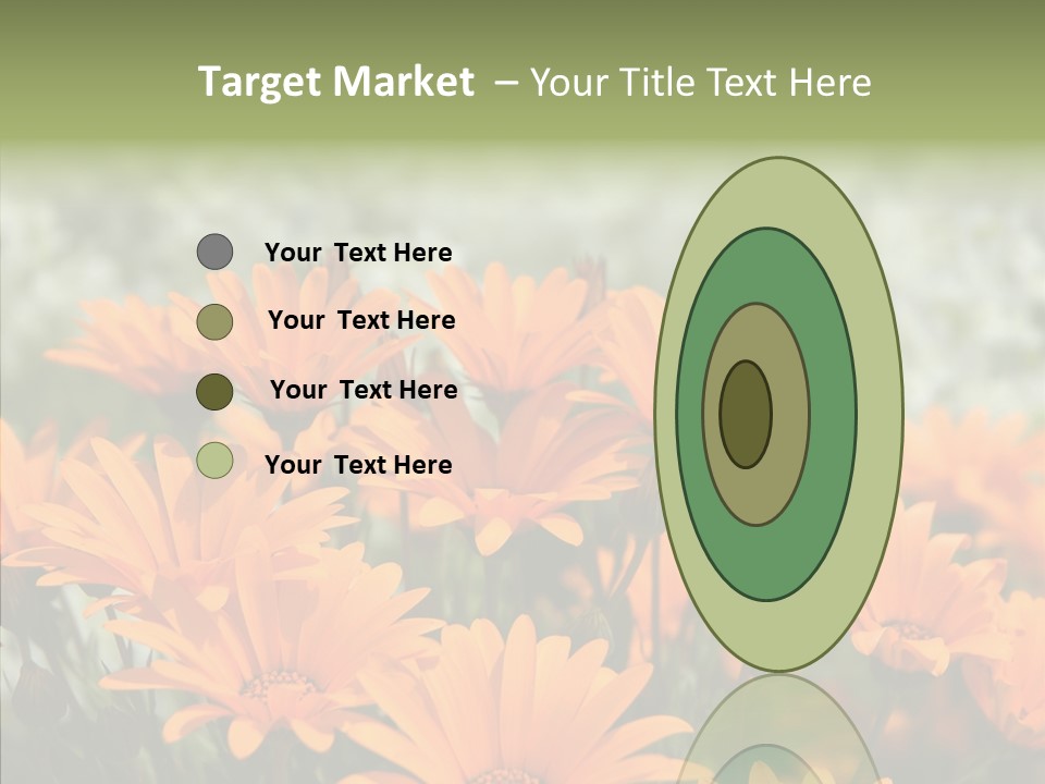 Flower Marigold Colorful PowerPoint Template