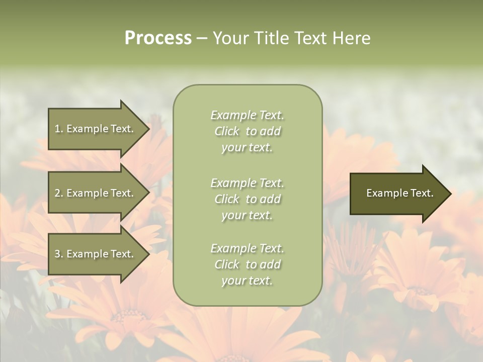 Flower Marigold Colorful PowerPoint Template