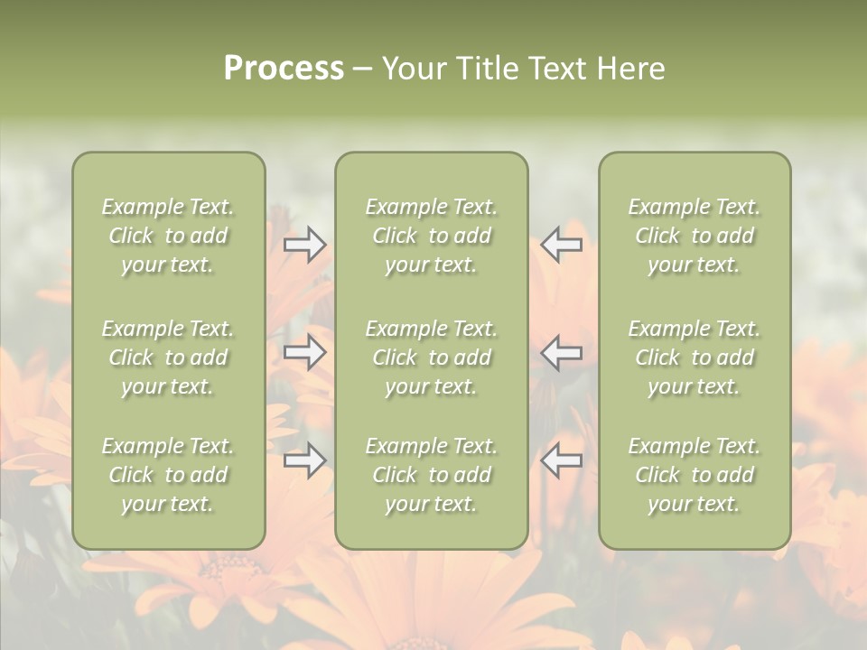 Flower Marigold Colorful PowerPoint Template