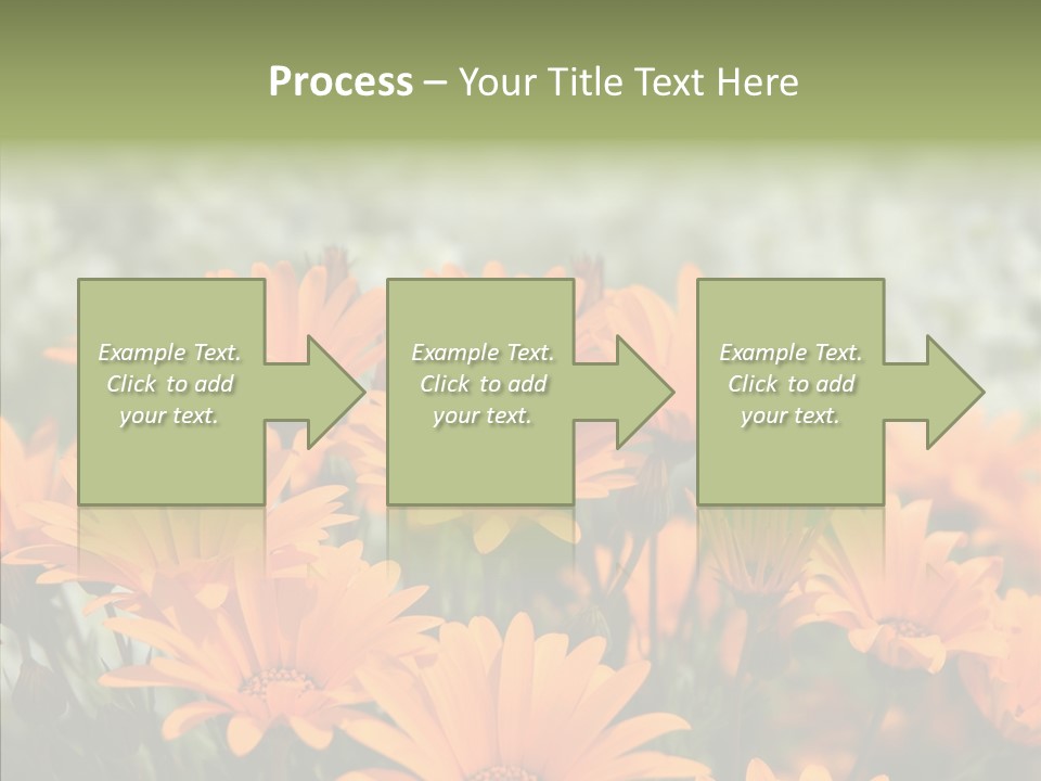 Flower Marigold Colorful PowerPoint Template
