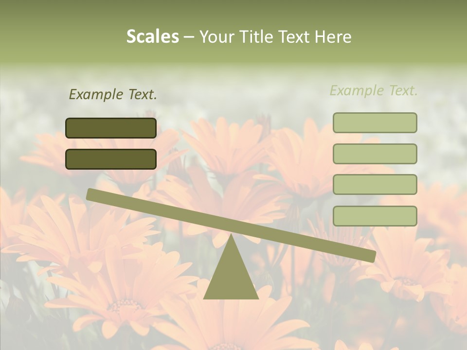 Flower Marigold Colorful PowerPoint Template