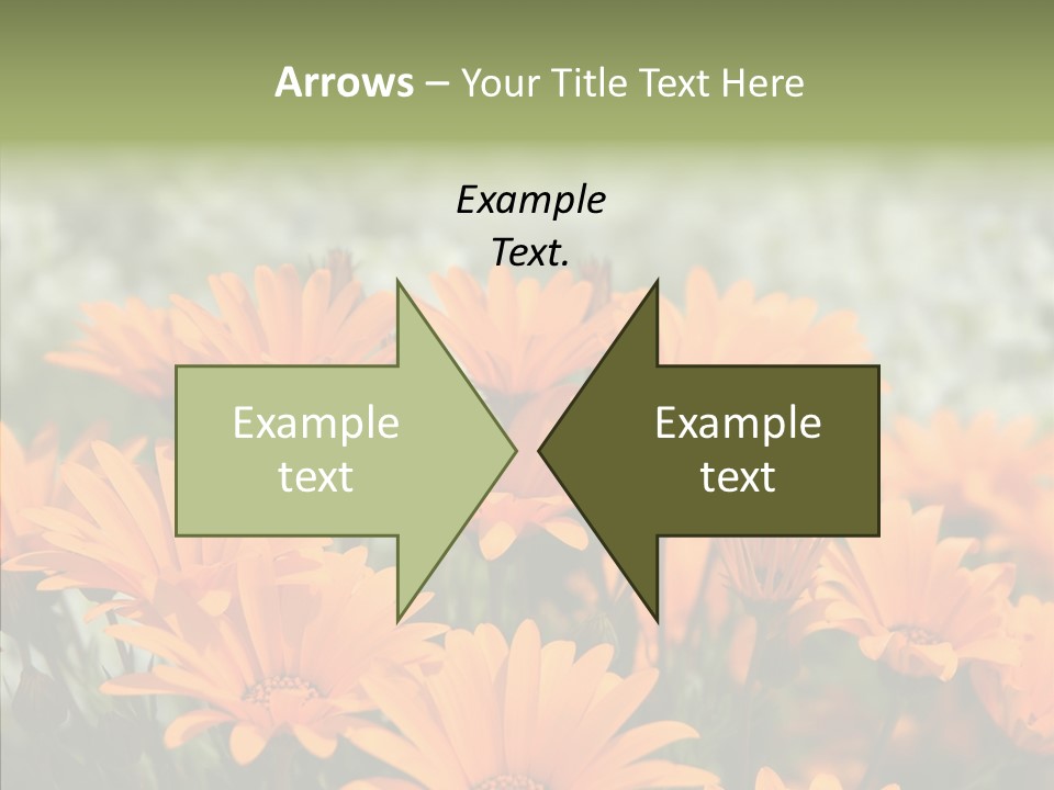 Flower Marigold Colorful PowerPoint Template