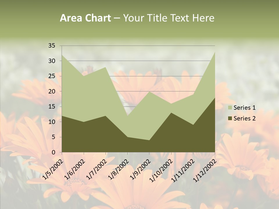 Flower Marigold Colorful PowerPoint Template