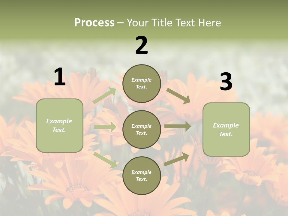 Flower Marigold Colorful PowerPoint Template