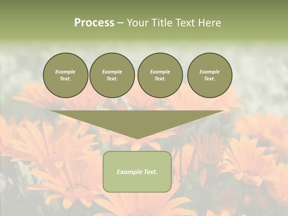 Flower Marigold Colorful PowerPoint Template