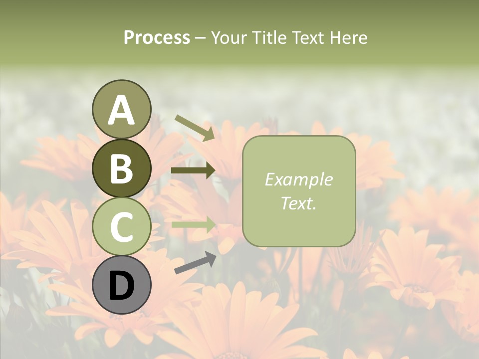 Flower Marigold Colorful PowerPoint Template