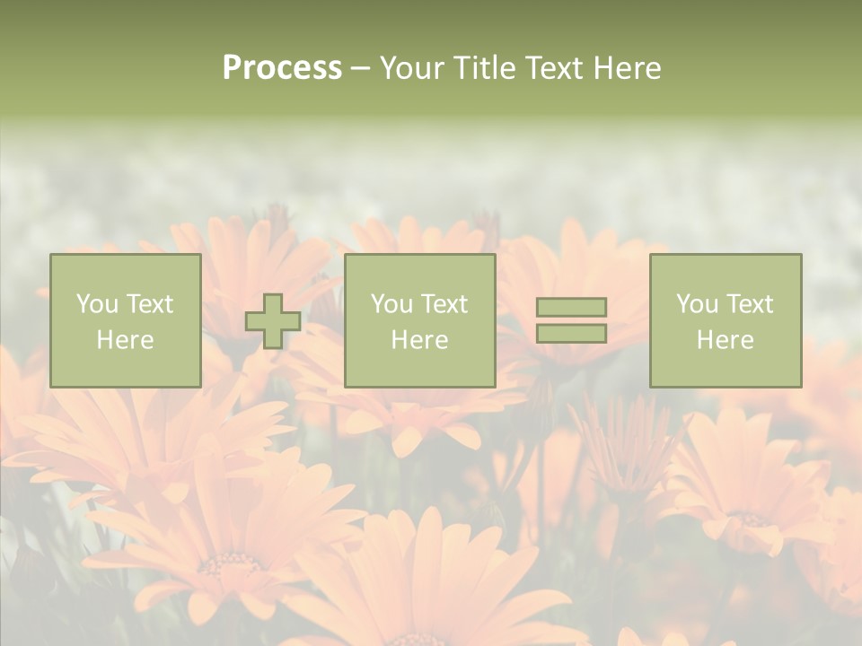 Flower Marigold Colorful PowerPoint Template
