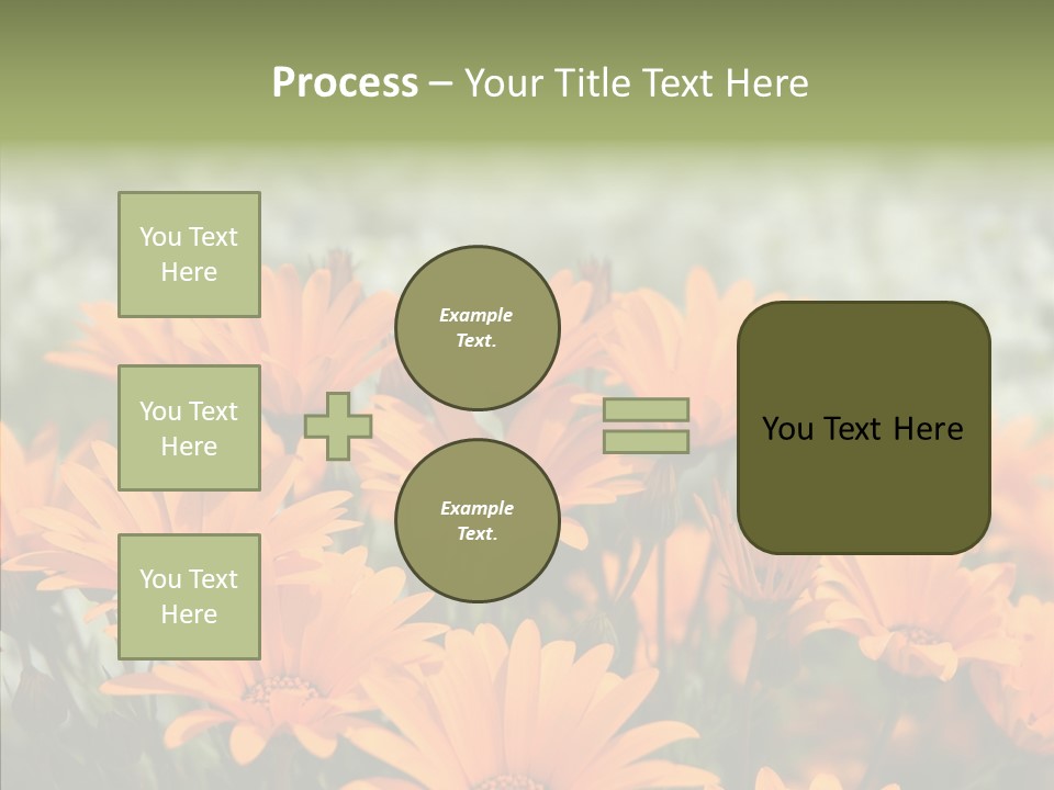 Flower Marigold Colorful PowerPoint Template