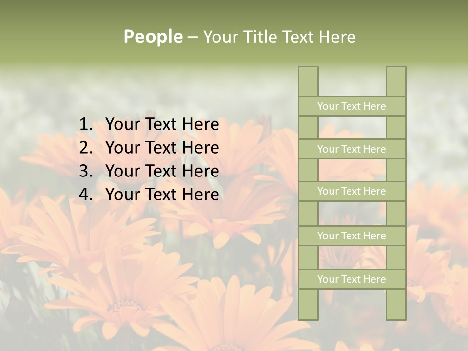 Flower Marigold Colorful PowerPoint Template