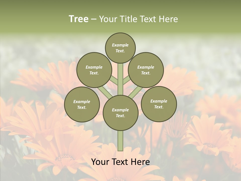 Flower Marigold Colorful PowerPoint Template