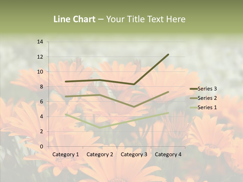 Flower Marigold Colorful PowerPoint Template