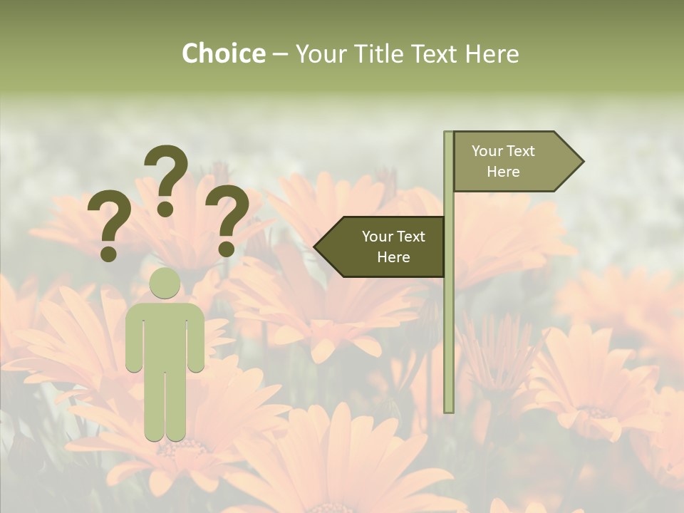 Flower Marigold Colorful PowerPoint Template