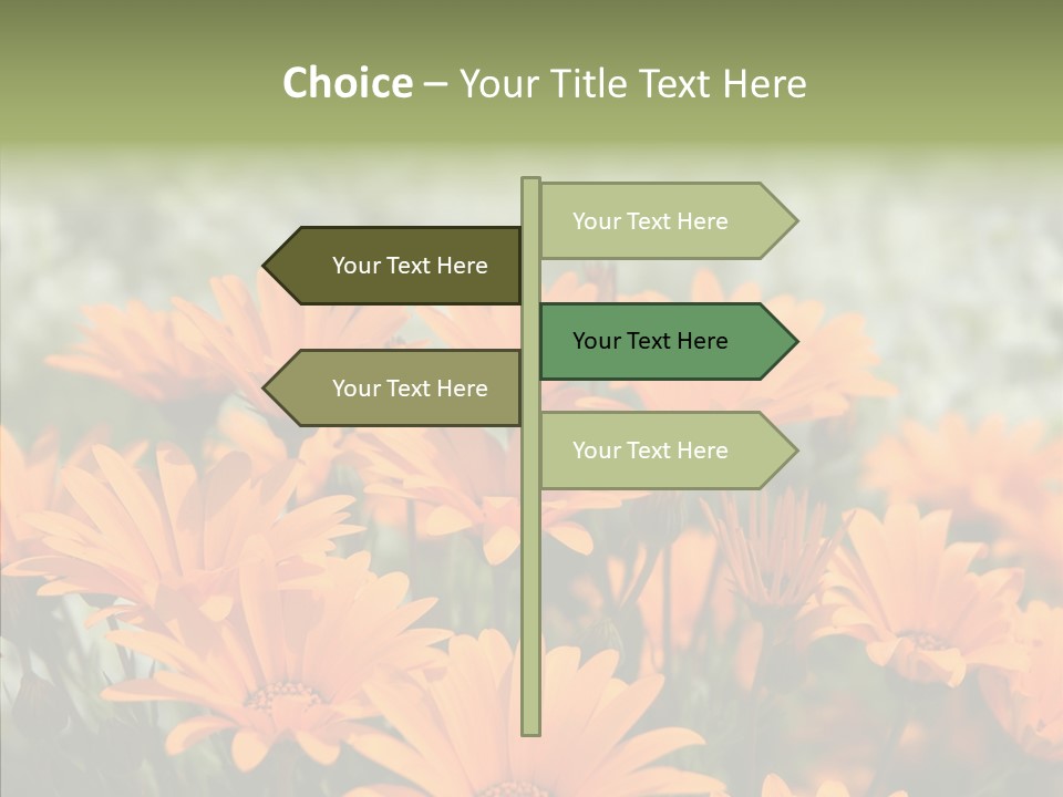 Flower Marigold Colorful PowerPoint Template