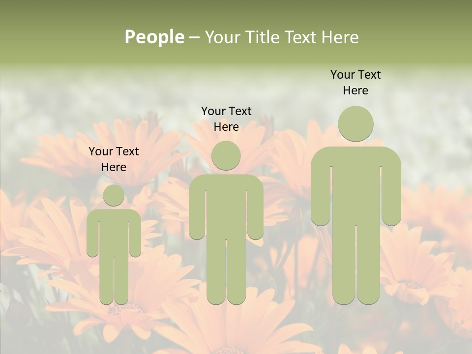 Flower Marigold Colorful PowerPoint Template