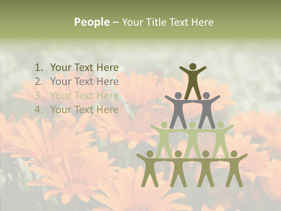 Flower Marigold Colorful PowerPoint Template