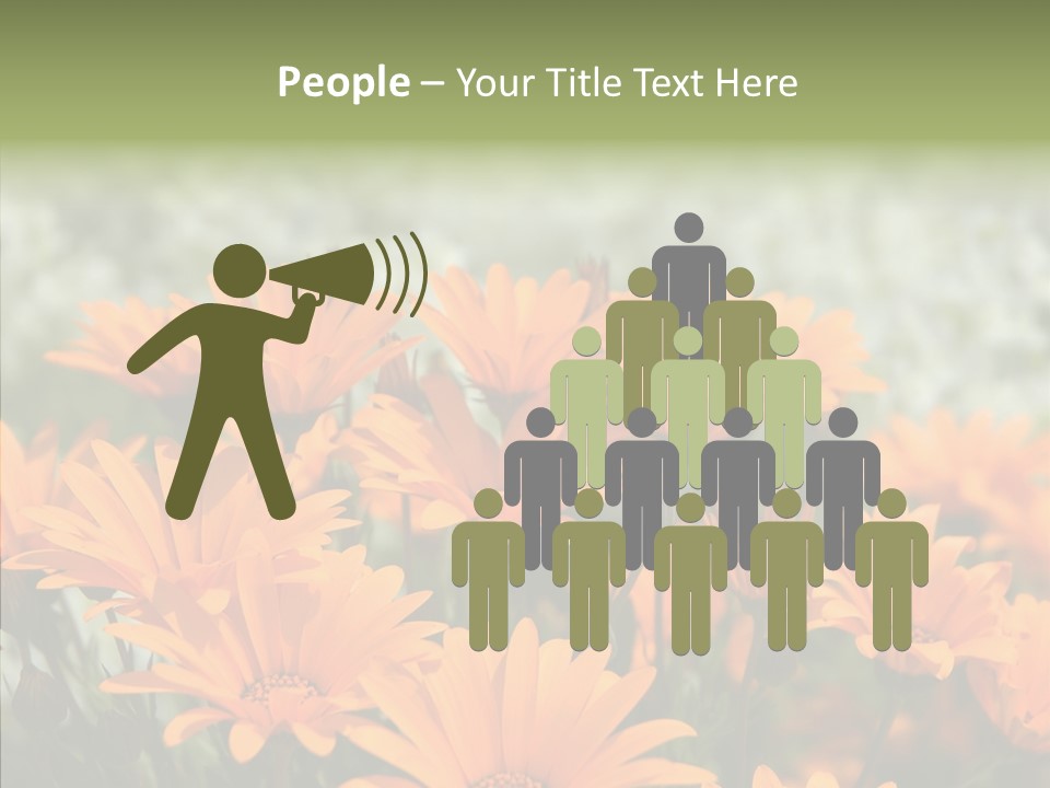 Flower Marigold Colorful PowerPoint Template