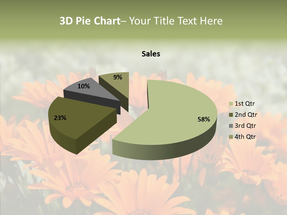 Flower Marigold Colorful PowerPoint Template