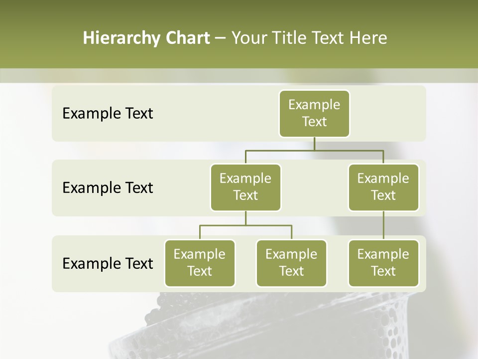 Meeting Champagne Alcohol PowerPoint Template