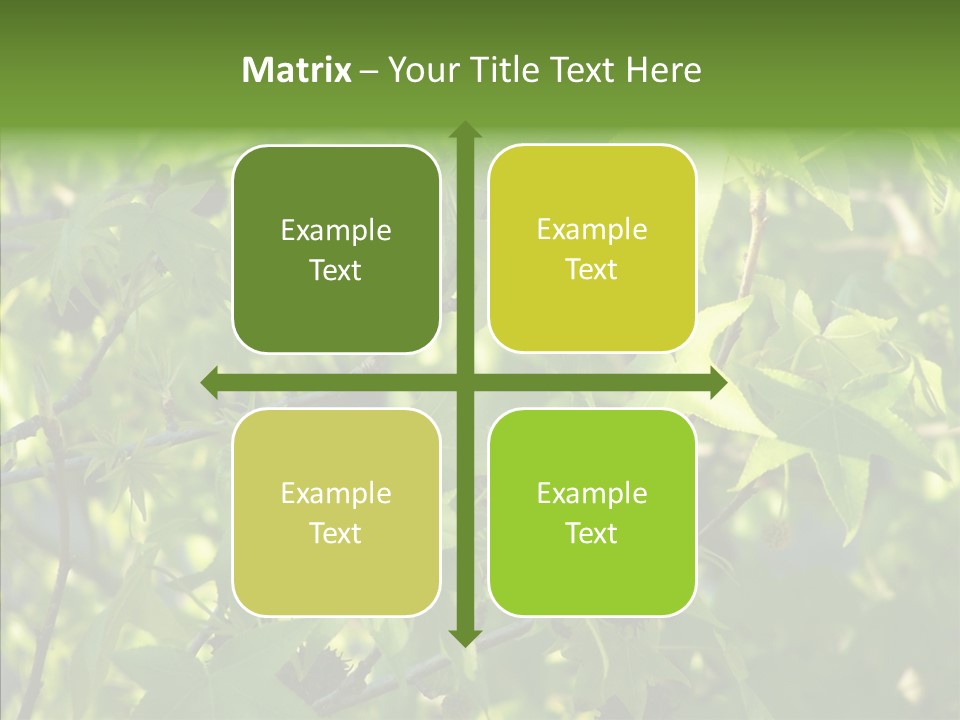 Leaves Bloom Spring Leaves PowerPoint Template