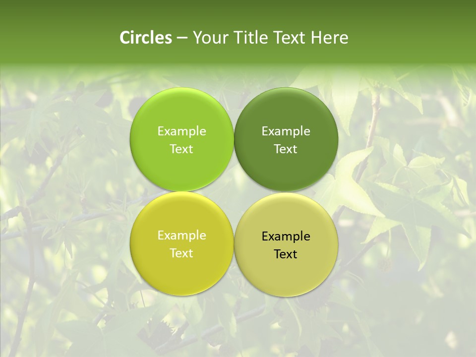 Leaves Bloom Spring Leaves PowerPoint Template