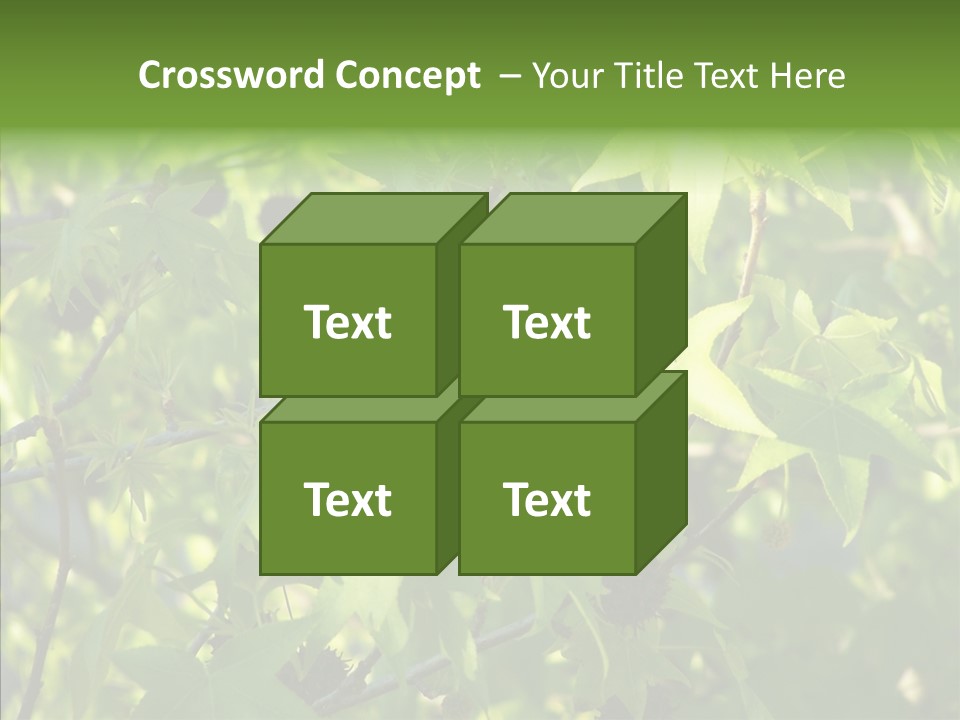 Leaves Bloom Spring Leaves PowerPoint Template